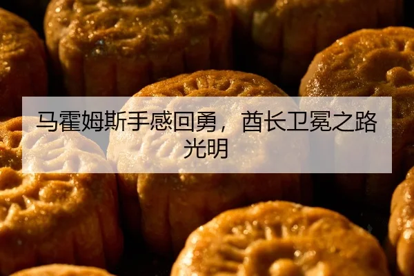 马霍姆斯手感回勇，酋长卫冕之路光明