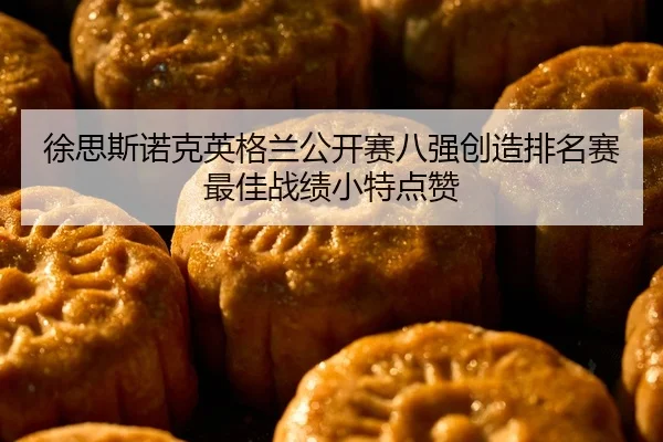 xu-si-si-nuo-ke-ying-ge-lan-gong-kai-sai-ba-qiang-chuang-zao-pai-ming-sai-zui-jia-zhan-ji-xiao-te-dian-zan-2-217.jpg