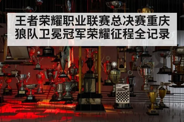 王者荣耀职业联赛总决赛重庆狼队卫冕冠军荣耀征程全记录